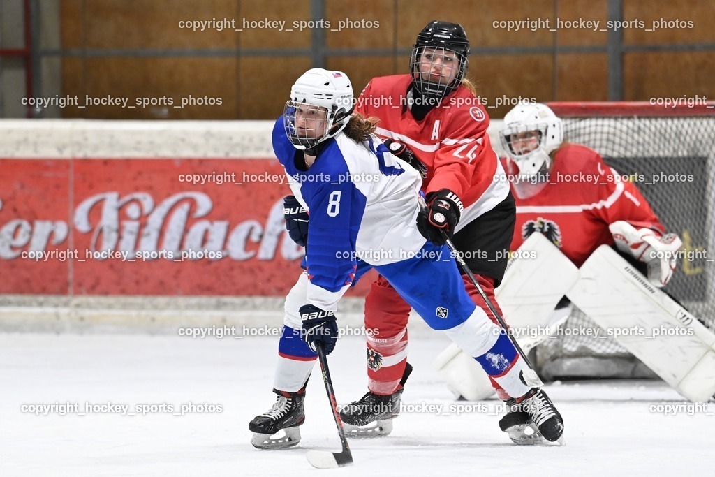 BST_3847 | hockey sports photos, Pressefotos, Sportfotos, hockey247, win 2day icehockeyleague, Handball Austria, Floorball Austria, ÖVV, Kärntner Eishockeyverband, KEHV, KFV, Kärntner Fussballverband, Österreichischer Volleyballverband, Alps Hockey League, ÖFB, 