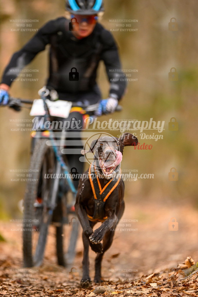 MompixPhotography_Habay2025_SA_Bike-97 | PayLife