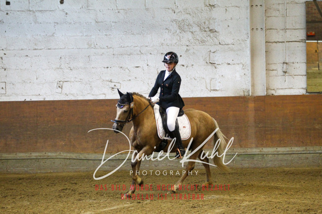 DKP43302 | Turniersportfotografie; Pferdefotografie; Dressurfotografie