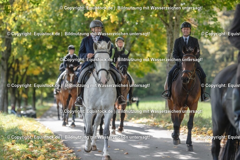 20251011_Jagd-Marbach_0305 | Foto: Thomas Hartig