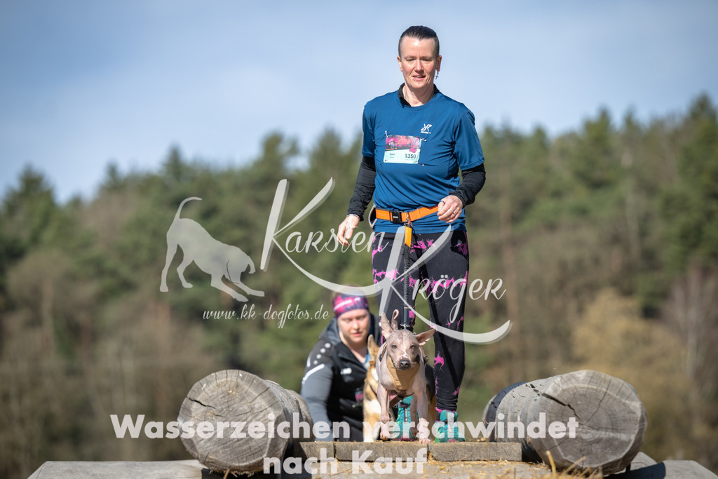 1011_ZZ99335 | kk-dogfotos