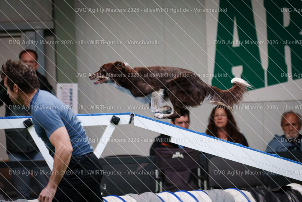 allesWIRTHgut_Tierfotografie-DVG_Agility_Masters_2026-17_00-7R509185 | Professionelle Tierfotografie in Mönchengladbach von Daniel Wirth (allesWIRTHgut). Liebevolle & natürliche Bilder von Hunden & Katzen für unvergessliche Erinnerungen.