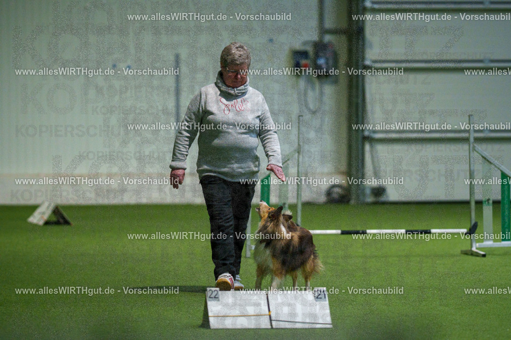 7R504870 | Professionelle Tierfotografie in Mönchengladbach von Daniel Wirth (allesWIRTHgut). Liebevolle & natürliche Bilder von Hunden & Katzen für unvergessliche Erinnerungen.