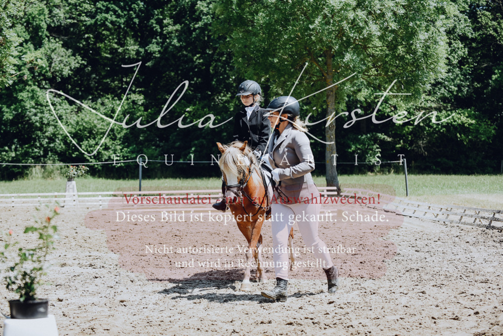 DSC_2144 | Pferde- und Turnierfotografie in Westsachsen. Pferdeportraits, Auftragszeichnungen und intuitive Kunst.