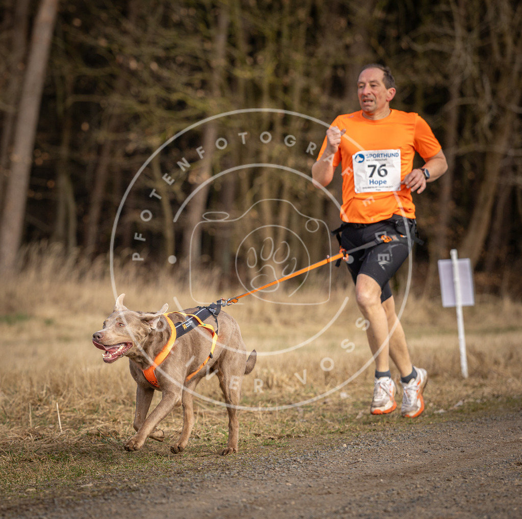 DV3A3788 | Hundefotografie, Tierfotograf, Pfotenfotografie, Fotoshooting Hund, Hunde Portrait, Hundesport, Hundeportraits, Heideshooting, Hunde, Sportfotograf, Hundefotograf, Turnierhundsport, THS,  - Realisiert mit Pictrs.com