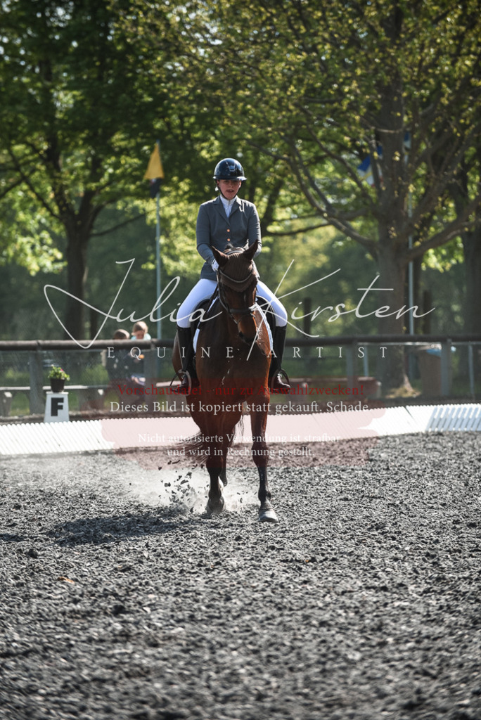 DSC_8946 | Pferde- und Turnierfotografie in Westsachsen. Pferdeportraits, Auftragszeichnungen und intuitive Kunst.