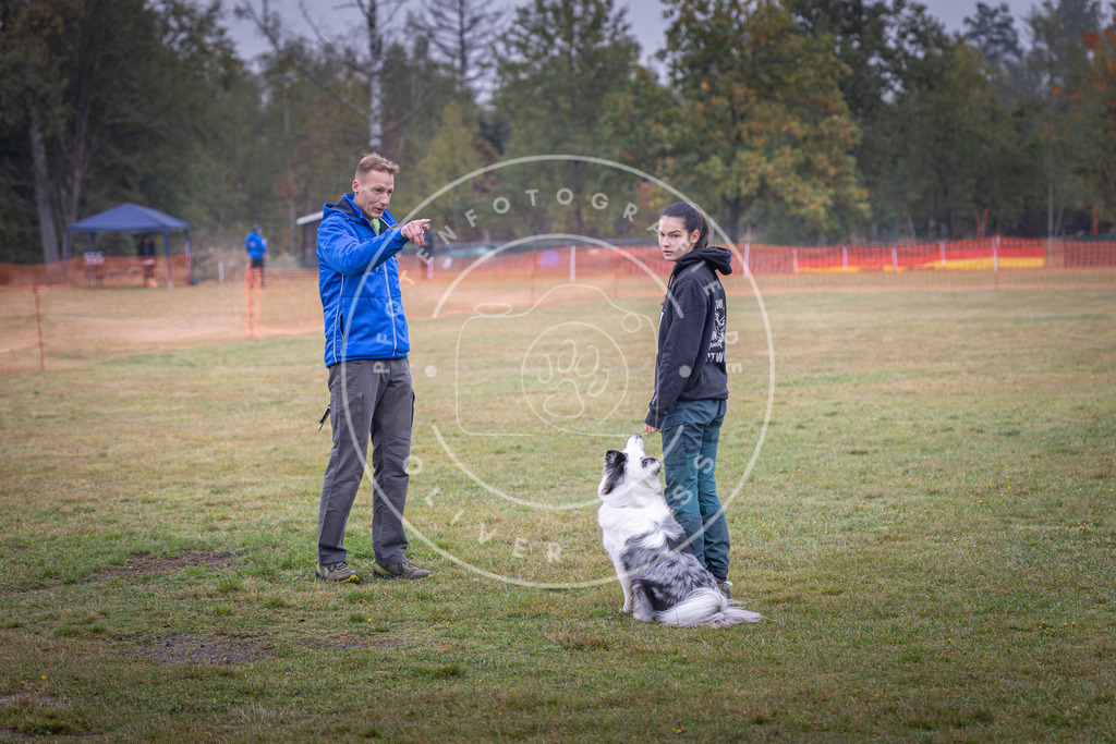 Pfotenfotografie_DV3A8810 | Hundefotografie, Tierfotograf, Pfotenfotografie, Fotoshooting Hund, Hunde Portrait, Hundesport, Hundeportraits, Heideshooting, Hunde, Sportfotograf, Hundefotograf, Turnierhundsport, THS,  - Realisiert mit Pictrs.com