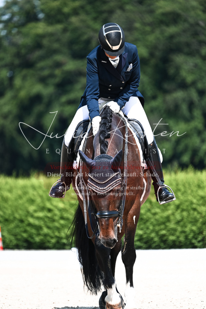 DSC_2919 | Pferde- und Turnierfotografie in Westsachsen. Pferdeportraits, Auftragszeichnungen und intuitive Kunst.