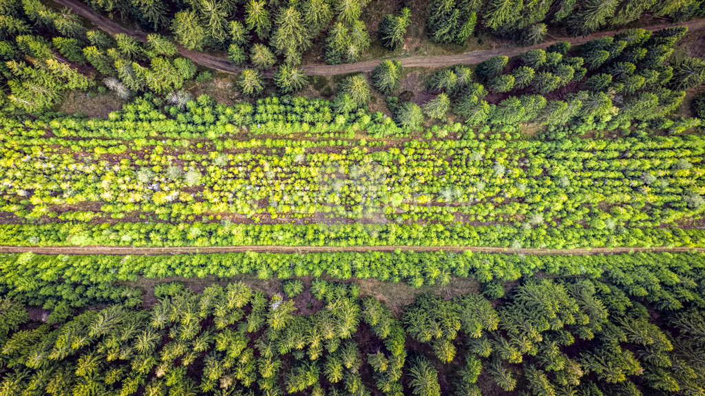 Das Grüne Band bei Tettau/Spechtsbrunn | Luftbilder, Drohnenbilder, Oberfranken, Bayern, Kronach, Lichtenfels, Kulmbach, Thüringen, Frankenwald, Thüringerwald - Realisiert mit Pictrs.com