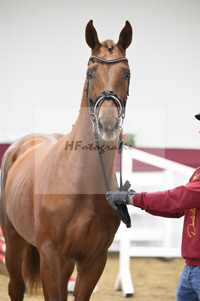 Kat-Nr. 82 Orient Express ES x Dibadu L_Markus Denzel_47252604 | hf-fotografie - Realisiert mit Pictrs.com