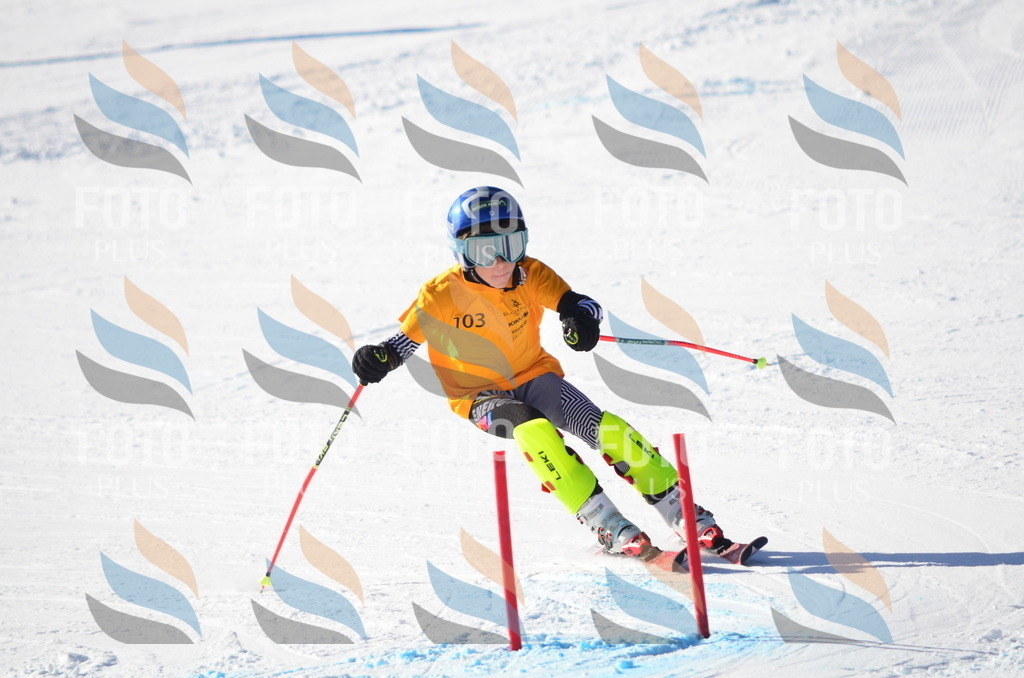 C6199 | holidayphoto