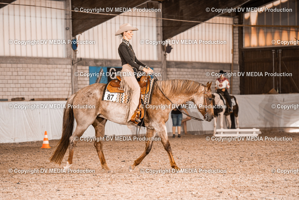 ZH100162 | dv-media-shop - Realisiert mit Pictrs.com