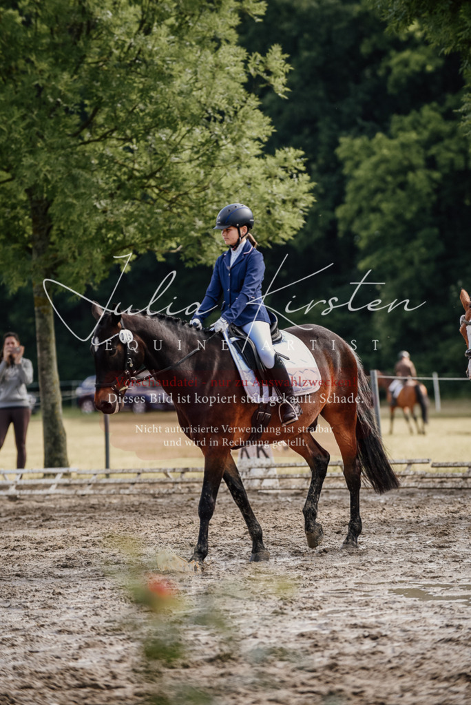 DSC_9102 | Pferde- und Turnierfotografie in Westsachsen. Pferdeportraits, Auftragszeichnungen und intuitive Kunst.