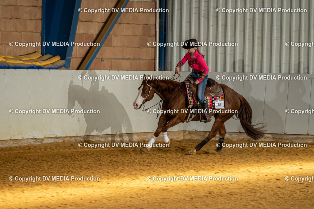 MIT00879 | dv-media-shop - Realisiert mit Pictrs.com