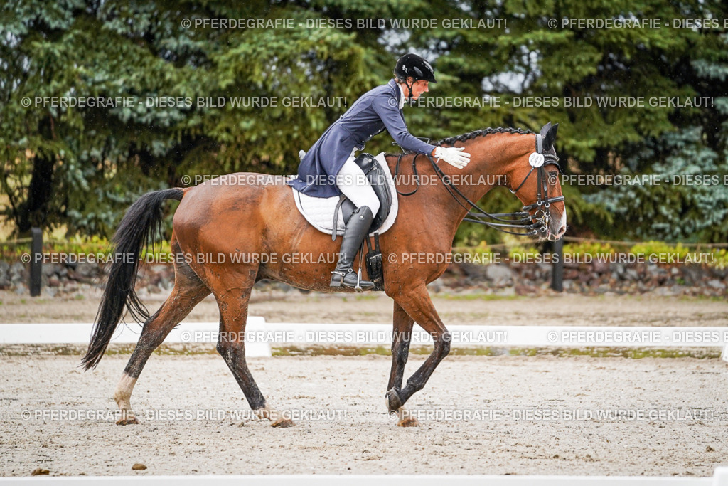 DSC08695 | Pferdegrafie