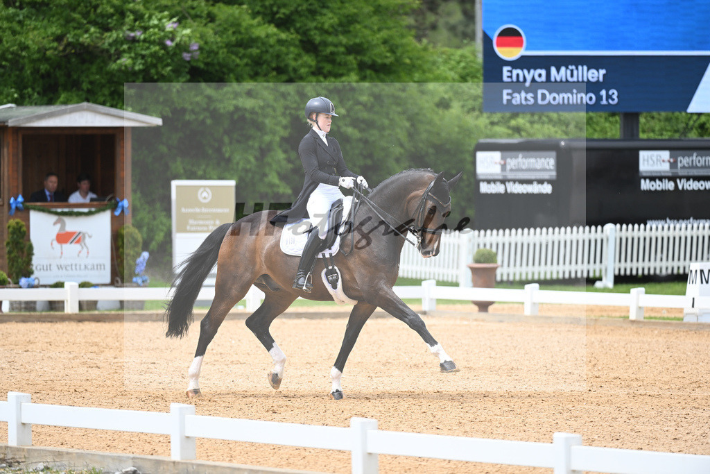 Mueller_Fats Domino_11233435 | hf-fotografie - Realisiert mit Pictrs.com