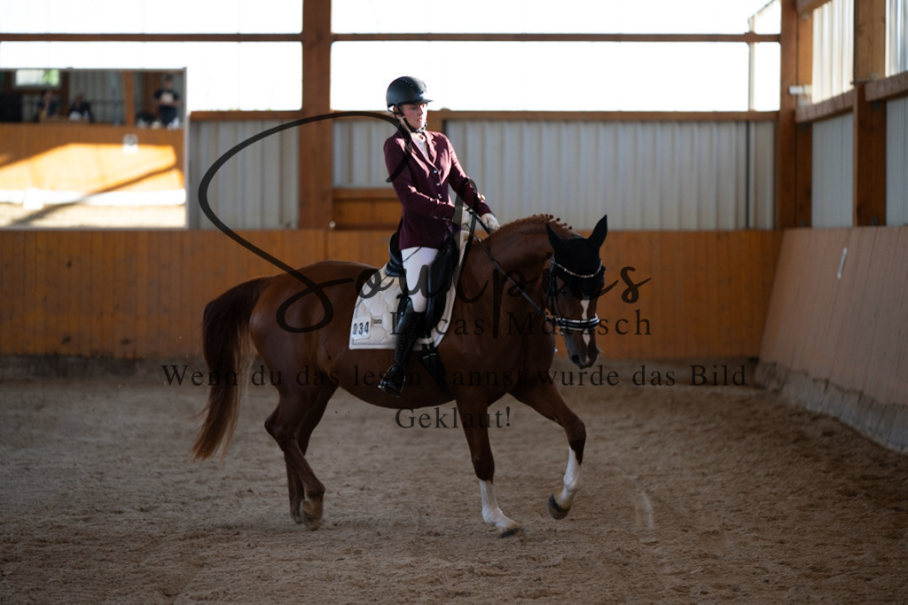 A7V01646 | Turnier/Reitfotograf
