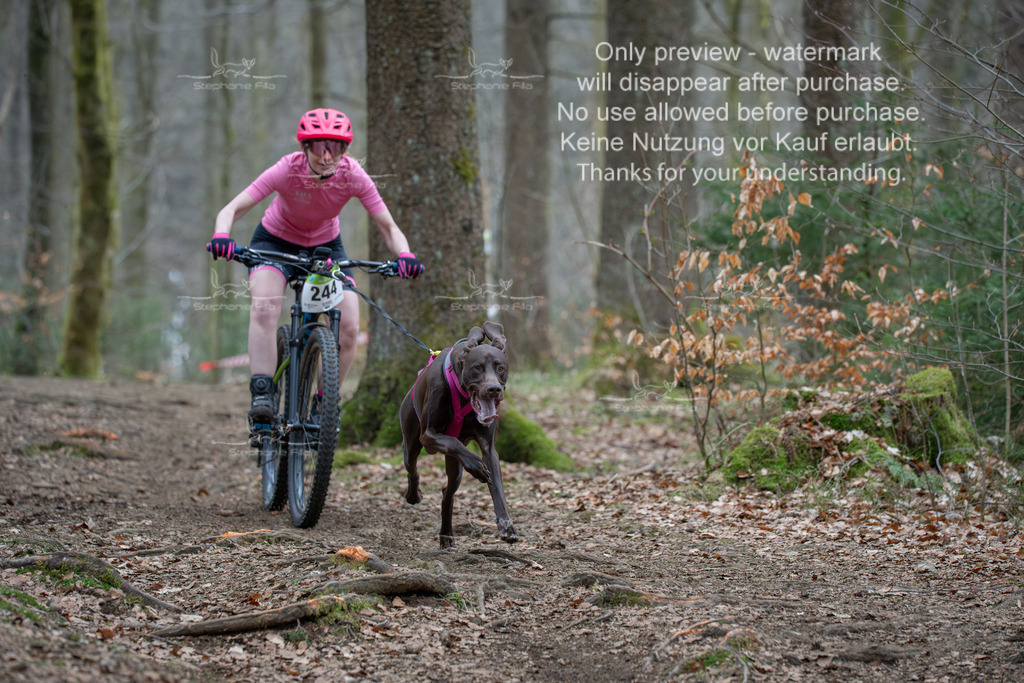 Bike_So-127 | stephaniefillaphotographie - Realisiert mit Pictrs.com