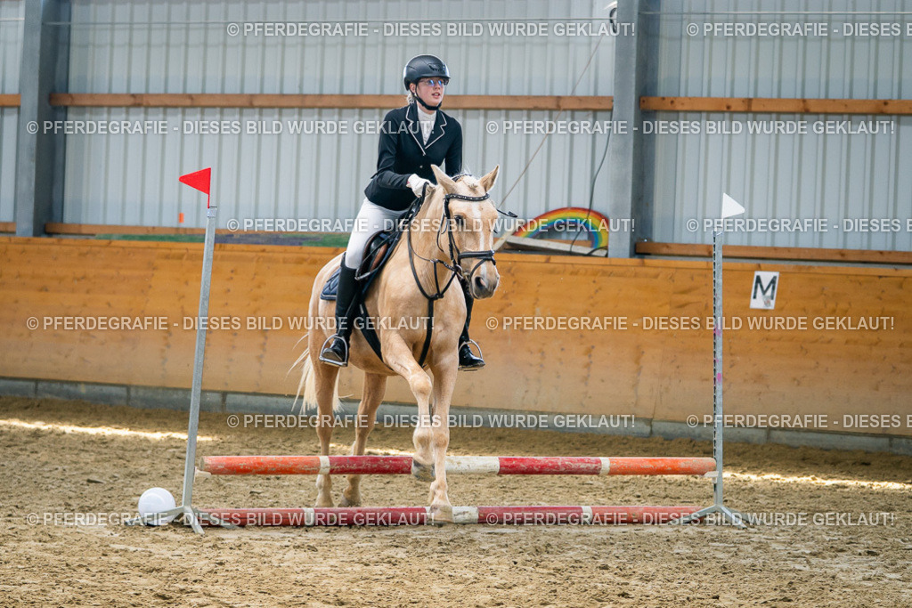 DSC01853 | Pferdegrafie