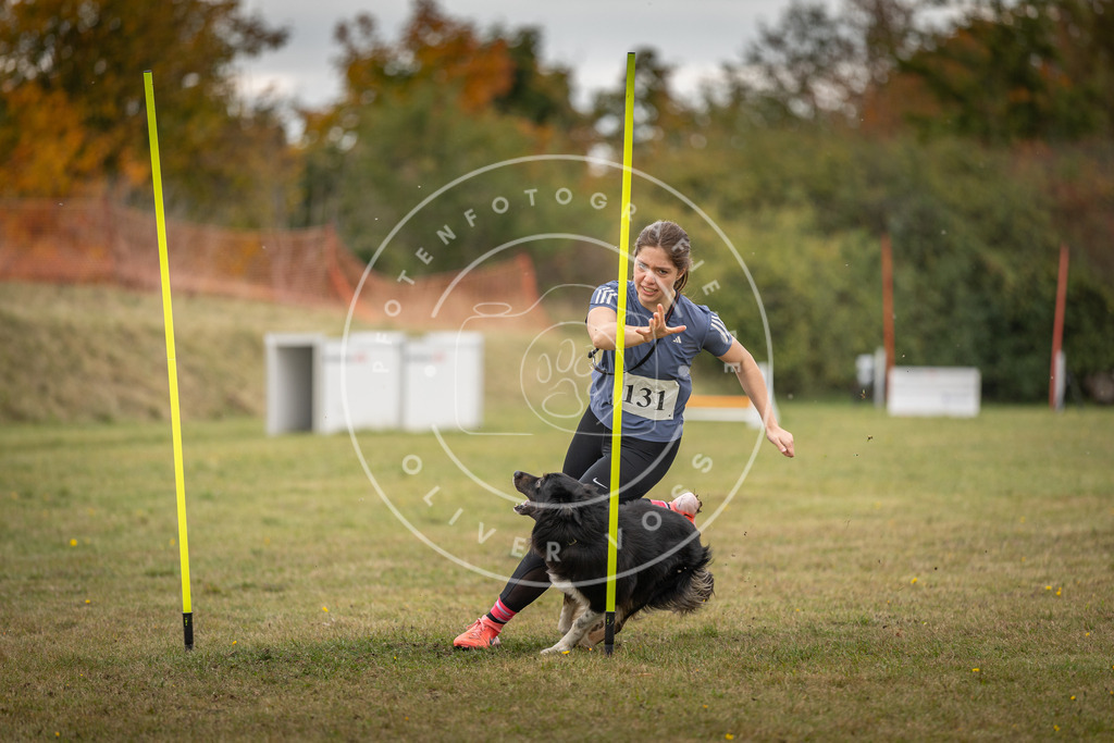 Pfotenfotografie_DV3A7506 | Hundefotografie, Tierfotograf, Pfotenfotografie, Fotoshooting Hund, Hunde Portrait, Hundesport, Hundeportraits, Heideshooting, Hunde, Sportfotograf, Hundefotograf, Turnierhundsport, THS,  - Realisiert mit Pictrs.com