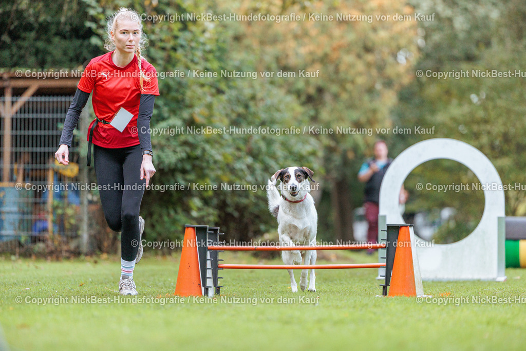 THS-HSV-Blumenthal-2026-Nickbest-Hundefotografie-1620 | Dein Hund! Dein Moment! Deine Erinnerungen! Hundefotografie in Bremen Blumenthal. Ich fange die besonderen Momente deines Vierbeiners ein – ob Indoor mit Blitzanlage oder in der freien Natur. Sicher dir dein Moment und dein Termin für eure Erinnerungen.