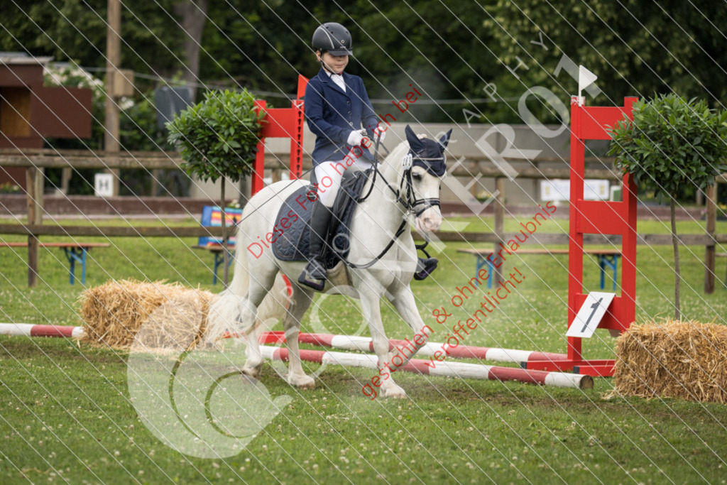 IMG_1702 | Sport-, Event- und Tierfotos in Profiqualität. Einfach auswählen, bestellen und herunterladen. Dein Moment – perfekt festgehalten.