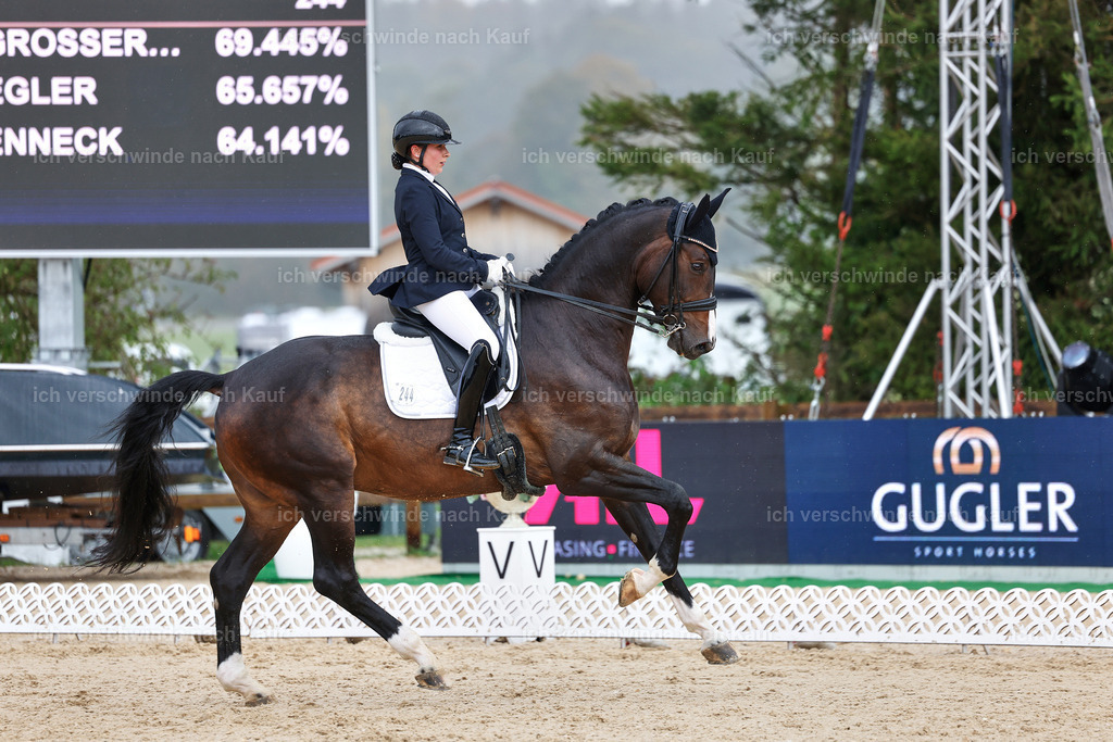 05-244-DRESSUR M_  -StoibPH-4907 | working equitationturnier fotograf videograf stoibphotography marixx film working equitation deutschland reitsport turnierfotografie eventfotografie equestrian events