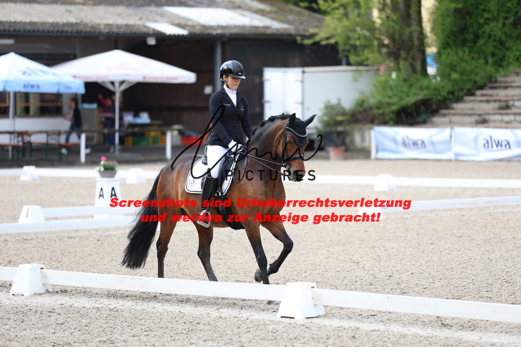 A40A0372 | lmwpictures - Realisiert mit Pictrs.com