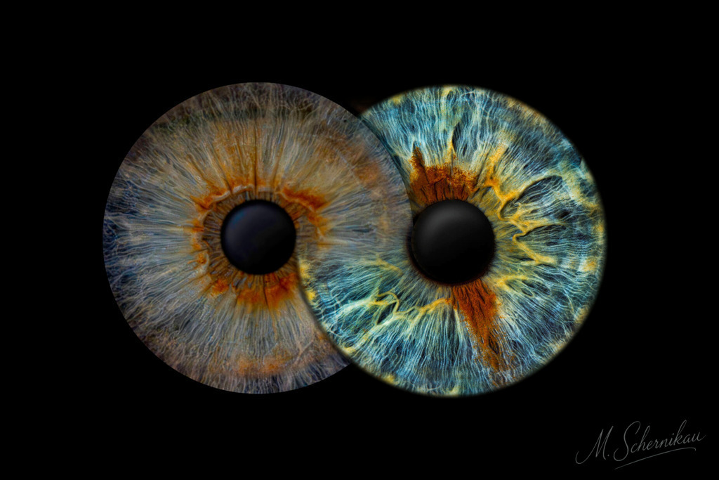 010 (1) (1) | Erleben Sie die Faszination der Irisfotografie! Verwandeln Sie Ihre Augen in ein einzigartiges Kunstwerk. Perfekte Geschenkidee für besondere Anlässe. Jetzt entdecken und bestellen! - Realisiert mit Pictrs.com