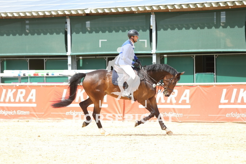 DL2Q6104 | Willkommen bei Brunnmayr - Design & Fotografie – Ihrem Spezialisten für Reitturniere und Pferdeveranstaltungen in Oberösterreich, Salzburg und Bayern! Seit über 17 Jahren sind wir leidenschaftlich dabei.