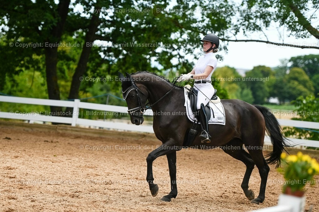 20230715_05_Dressurprüfung Kl.A++_0320 | equistock