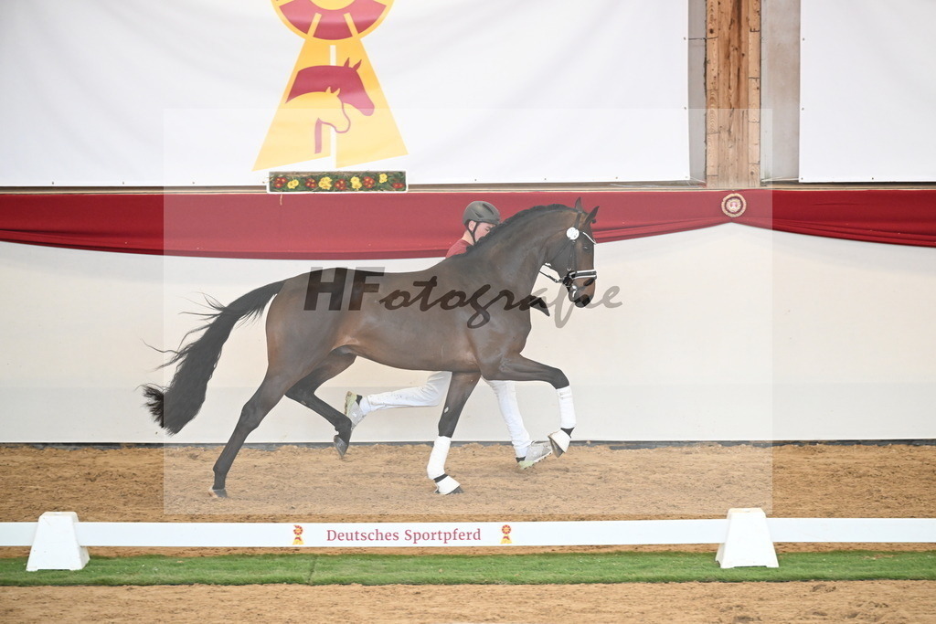 Kat.-Nr. 64 v. Fürst Zonik PS_Raedecke_2250552 | hf-fotografie - Realisiert mit Pictrs.com