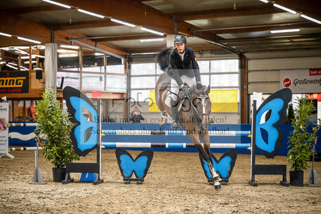 DOS_B1305 | Entdecke hochwertige Reitturnierfotos von Foto Oger. Professionell, emotional und authentisch – jetzt Lieblingsmomente im Shop bestellen.Deutschlandweite Turnierfotografie. - Realisiert mit Pictrs.com