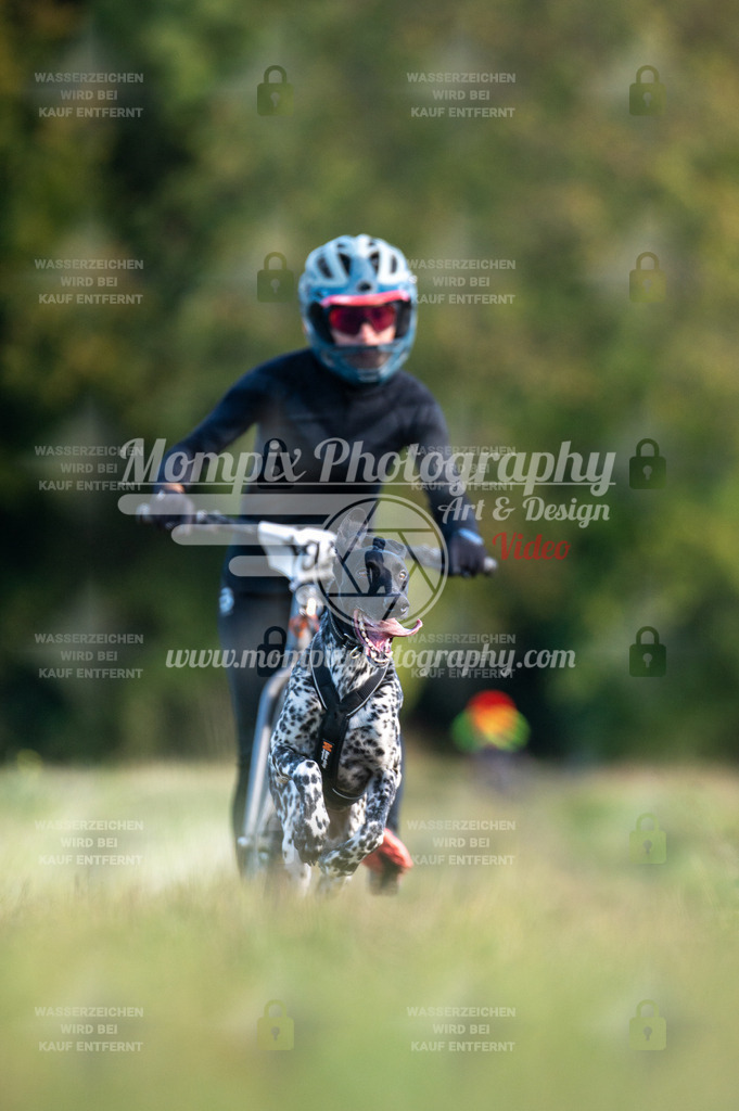 CDLBDB_15_10_2023_Dimanche-257 | PayLife