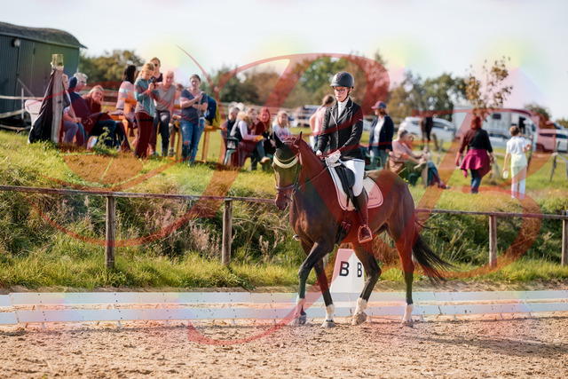 2026_10_03_Siefer-Hof_132135_Z63_83330589 | Professionelle Reitsport-, Turnier- und Eventfotografie von Robert Broda. Galerien mit ausgewählten und bearbeiteten Bildern direkt online ansehen und bestellen.