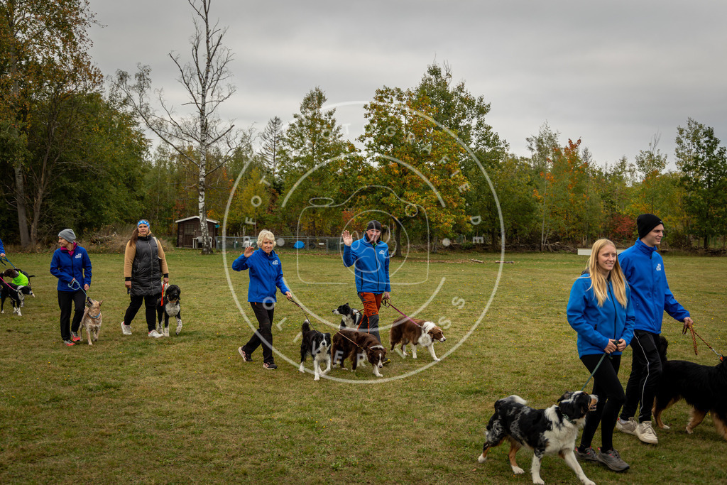 Pfotenfotografie_0L8A0304 | Hundefotografie, Tierfotograf, Pfotenfotografie, Fotoshooting Hund, Hunde Portrait, Hundesport, Hundeportraits, Heideshooting, Hunde, Sportfotograf, Hundefotograf, Turnierhundsport, THS,  - Realisiert mit Pictrs.com
