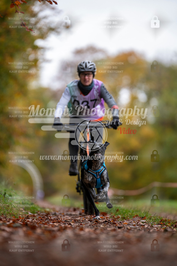 DBT_DAKM_SA_4_11_2023_Bike-13 | PayLife