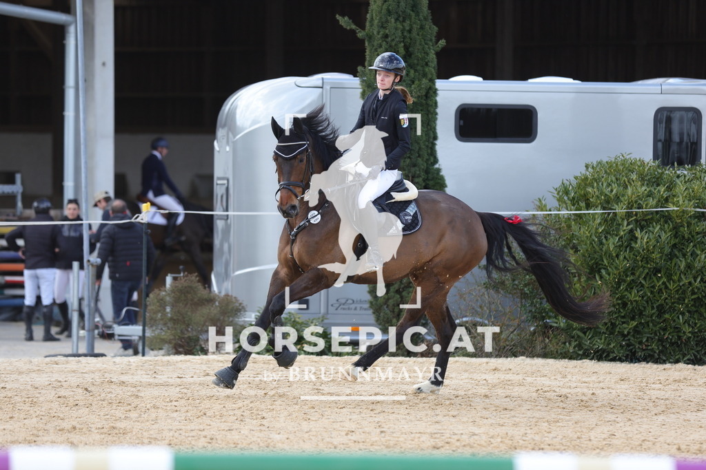 0P6A7211 | Willkommen bei Brunnmayr - Design & Fotografie – Ihrem Spezialisten für Reitturniere und Pferdeveranstaltungen in Oberösterreich, Salzburg und Bayern! Seit über 17 Jahren sind wir leidenschaftlich dabei.