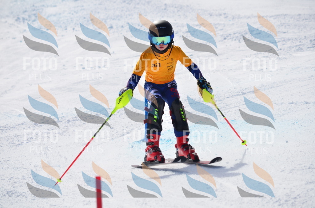 C9853 | holidayphoto