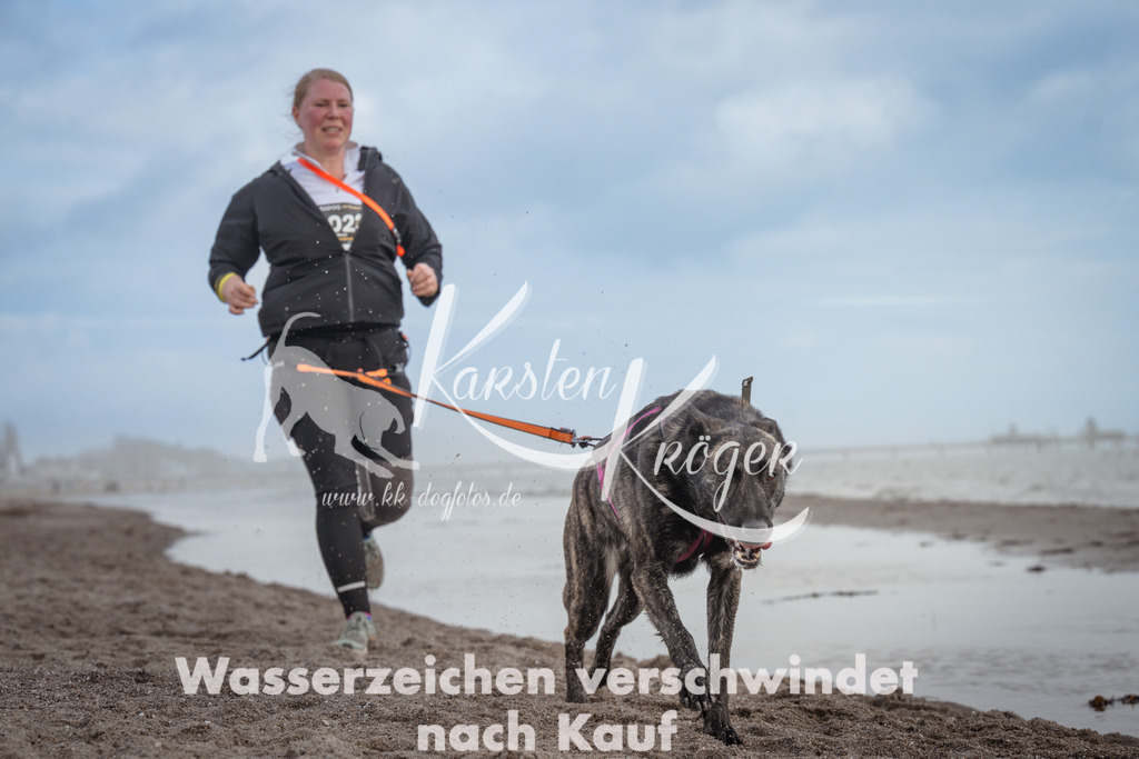 1213_ZZ95138 | kk-dogfotos