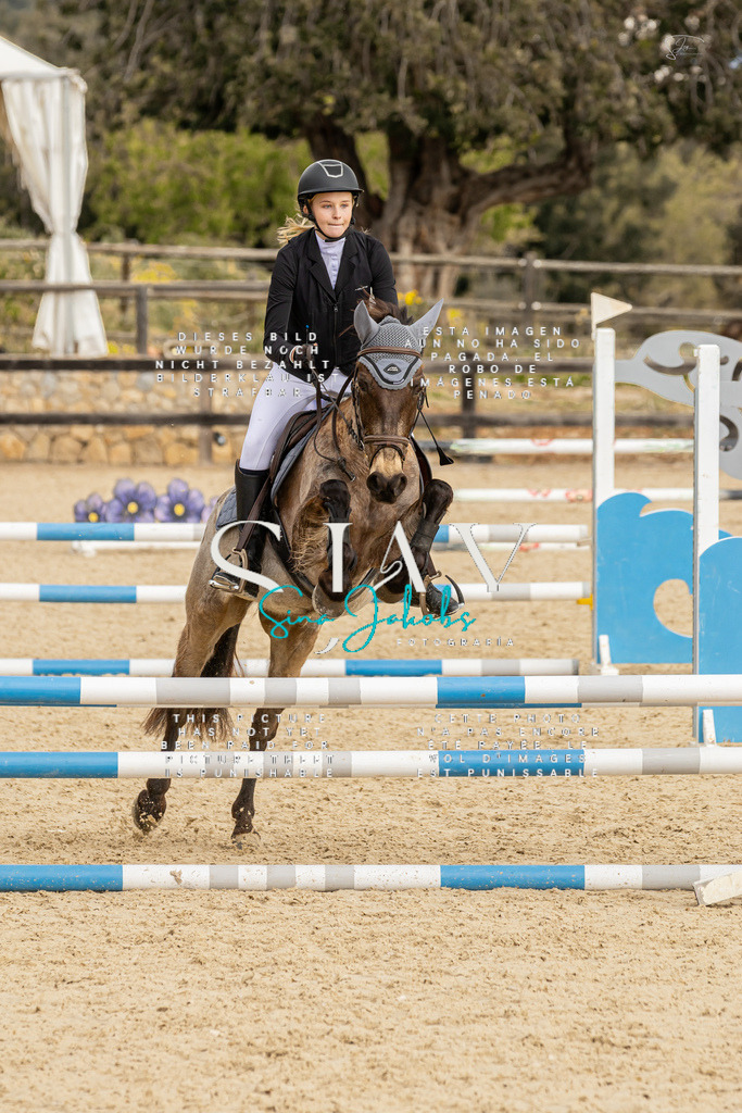 IMG_4530 | s-jay-photography - Realisiert mit Pictrs.com