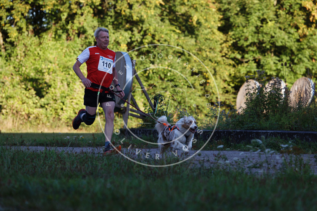 0L8A4607 | Hundefotografie, Tierfotograf, Pfotenfotografie, Fotoshooting Hund, Hunde Portrait, Hundesport, Hundeportraits, Heideshooting, Hunde, Sportfotograf, Hundefotograf, Turnierhundsport, THS,  - Realisiert mit Pictrs.com