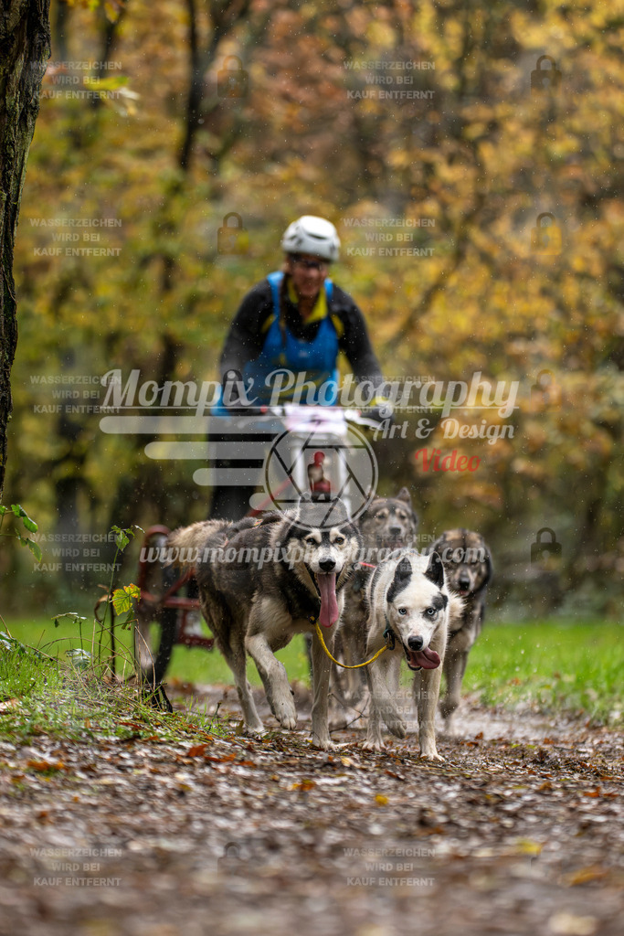 MompixPhotography_Bischwiller23_Kart-15 | PayLife