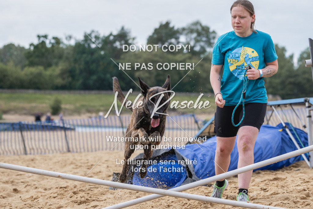 nelerasche_BuHu2026_So1530-Ende_99 | nelerasche
