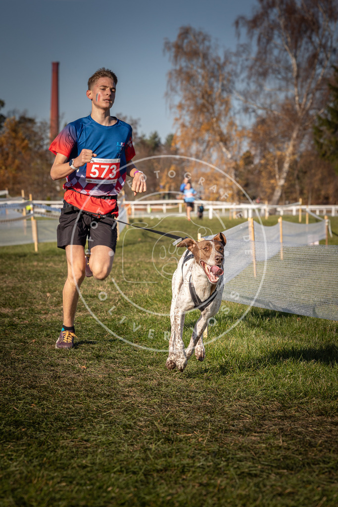 CaniXpix_0L8A8046 | Hundefotografie, Tierfotograf, Pfotenfotografie, Fotoshooting Hund, Hunde Portrait, Hundesport, Hundeportraits, Heideshooting, Hunde, Sportfotograf, Hundefotograf, Turnierhundsport, THS,  - Realisiert mit Pictrs.com