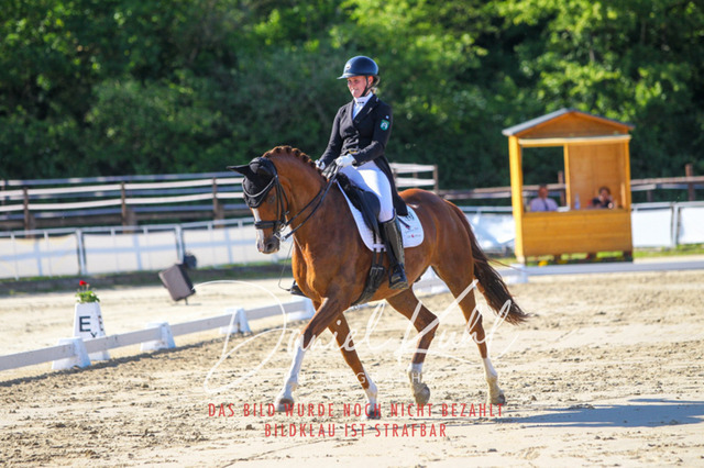 DKP42703 | Turniersportfotografie; Pferdefotografie; Dressurfotografie