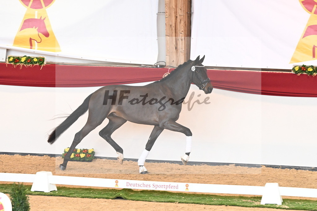 Kat.-Nr. 60 v. Raven_Klakow_2240756 | hf-fotografie - Realisiert mit Pictrs.com
