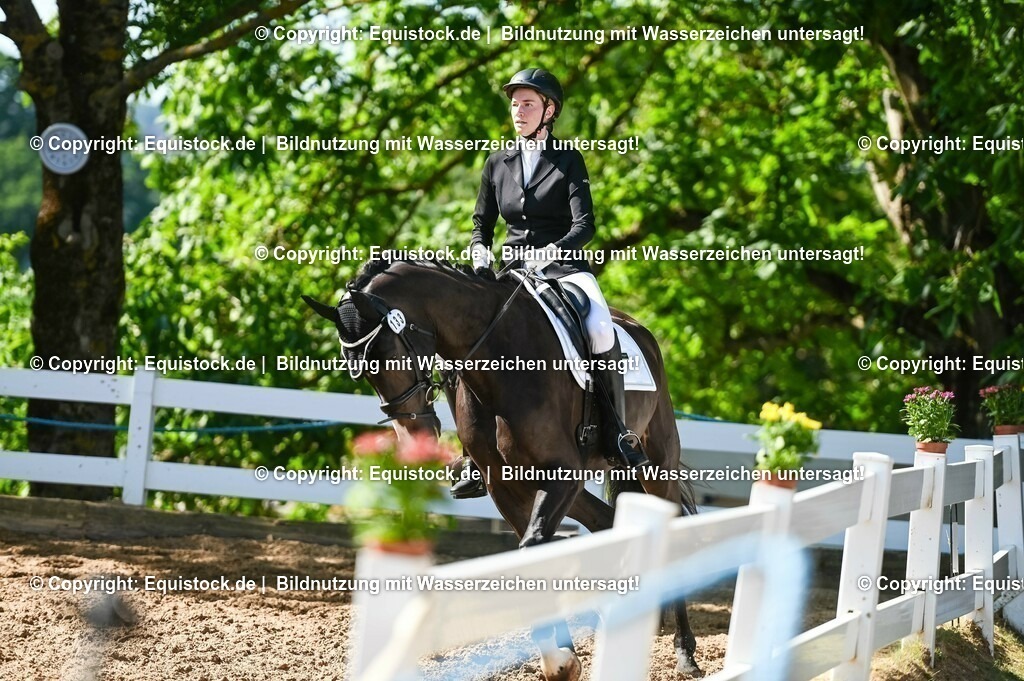 20230715_06_Dressurpferdeprfg. Kl.A_0366 | equistock
