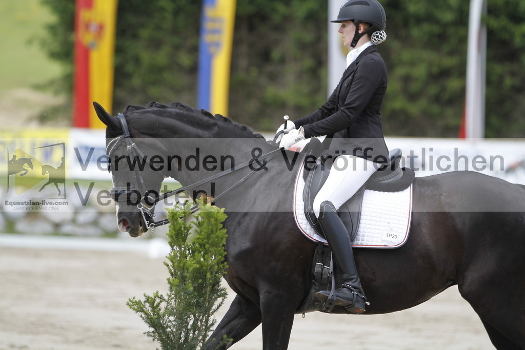 _MG_2608 | equestrian-live-com