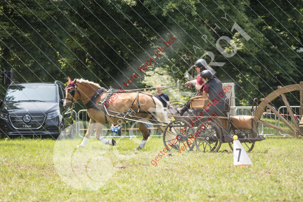 IMG_8523 | Sport-, Event- und Tierfotos in Profiqualität. Einfach auswählen, bestellen und herunterladen. Dein Moment – perfekt festgehalten.